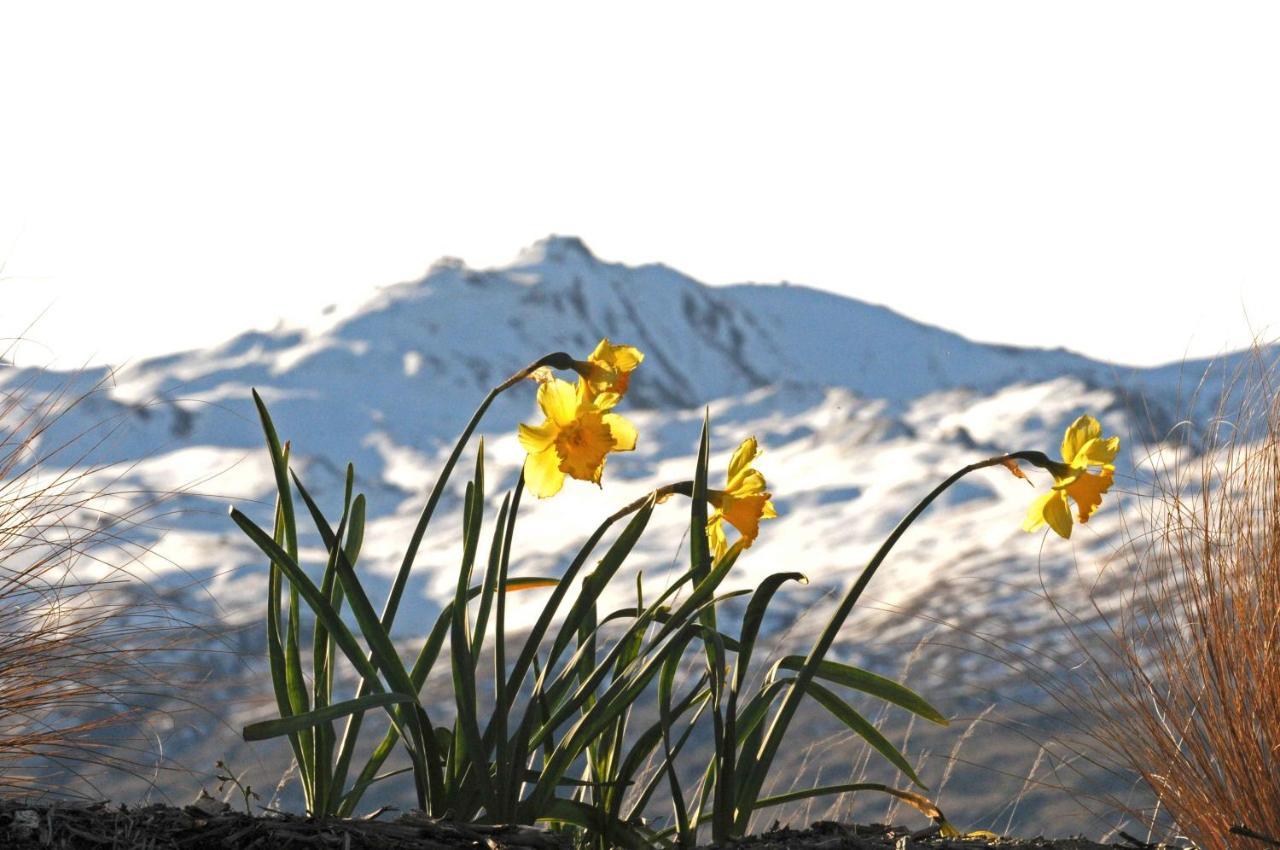 Hawkridge Alpine Suite Queenstown Ngoại thất bức ảnh